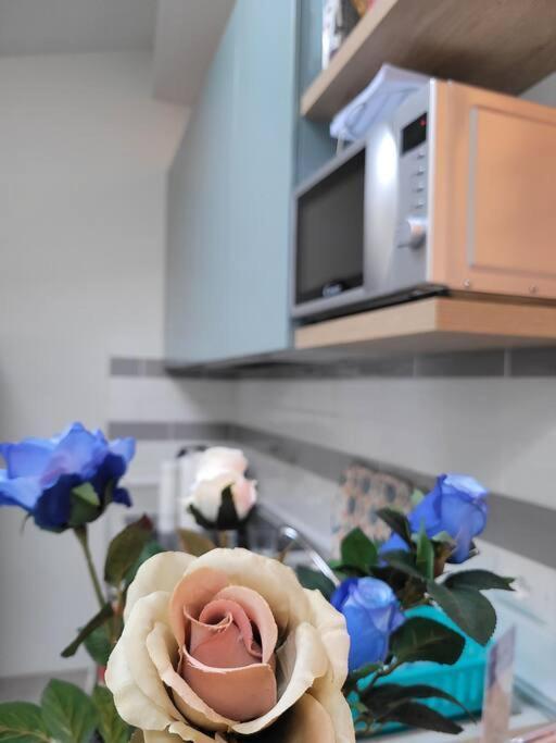 Casa Fiori Blu - Figline Valdarno Lejlighed Eksteriør billede